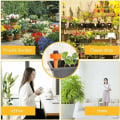 Miniatyrbillede 3 af 4: Drypvandingssæt, drypvanding, selvvandende planter, DIY automatisk plantevanding, haveplantevandingssystem - 6 orange, 4 grønne