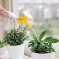 Miniatyrbillede 4 af 5: 2PC Plast Dobbelthovedet Flaskehætte Vandkande, Hjem Have Mini Vandkande Vandtud