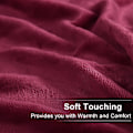 Miniatyrbild 2 av 4: Mjuk Queen Size filt Alla säsonger Vinter varm Microplush Lätt termisk Fleece filtar för soffa säng soffa, 200x230cm, Bourgogne
