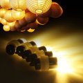 Miniatyrbilde 2 av 5: Ballonglys, 30 stk. Mini LED-lykter, batteridrevne mikro-LED-lys for papirlykter, ballonger (varm hvit)
