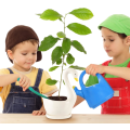 Miniatyrbilde 4 av 5: Keramisk svanepotte, kaktus sukkulent blomsterpotter planter dekorasjon