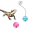 Miniatyrbild 4 av 5: 7-pack leksakskringla för skäggagam, reptilödla leksaksboll, slumpmässiga färger