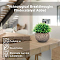 Miniatyrbillede 2 af 4: Kunstige planter 2 stk., små kunstige planter i potte, græs af plast, kunstige planter af plast