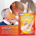 Miniatyrbild 4 av 4: Lymfatiska hälsostickers 8 stickers/påse