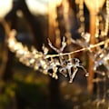 Miniatyrbilde 3 av 5: Julelys med reinsdyr, 10 LED-lys, soveromsdekorasjon, vanntett innendørs fe-lys