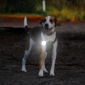 Miniatyrbilde 5 av 5: LED-hovedlykt brystlys 2 stk løpelys med 4 lysmoduser med klips sikkerhetslys for utendørs sport løping camping