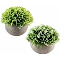 Miniatyrbillede 1 af 3: Mini kunstige sukkulenter med potter til dekorative planter til hjem, have, køkken, bryllup og andre indendørs og udendørs lejligheder
