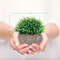 Miniatyrbillede 3 af 4: Kunstige planter 2 stk., små kunstige planter i potte, græs af plast, kunstige planter af plast