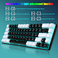 Miniatyrbilde 1 av 3: Kablet Gaming Tastatur, RGB Bakgrunnsbelysning, Ultrakompakt Mini Tastatur med Avtakbar Kabel, Svart og Hvit Farge Style 2