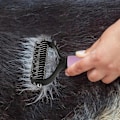 Miniatyrbild 4 av 5: Pet Safe Dematting Comb, 2-i-1 Dubbelsidig Pet Dog Cat Snabb Dematting Verktyg, Multifunktionell Ergonomisk