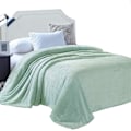 Miniatyrbillede 1 af 5: Flannel tæppe, 167x228 CM blødt sofatæppe, vaffel fleece tæppe til sofa, mintgrønt tæppe
