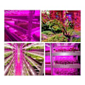 Miniatyrbild 2 av 5: Växtlampa, smart vattentät grönsakslampa remsa 2m LED-system växtlampa, smart handfällbar växtlampa remsa 2m