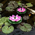 Pikkukuva 3 / 4: Vesi­lilja/Lotus­sammal­kukka­aurinko­suihku­pumppu­kelluva­allas­esitelty­lotus­aurinko­vesi­ulko­koriste­patio­puutarha­allas