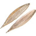 Miniatyrbillede 4 af 5: Røgelsespindeholder i metalblad, røgelsesbrænder med askefanger, 28 cm lang til boligindretning (guld)