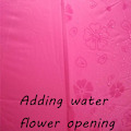 Miniatyrbild 2 av 5: Damparasoll Paraply UV-skydd för kvinnor Parasol Lätt Anit-UV Paraplyer för Sommarsolskydd Rose Red