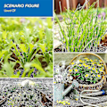 Miniatyrbillede 5 af 5: 80 Leds Full Spectrum Plantelys 220v Kompatibel Med Indendørs Planter,gu10 80LED