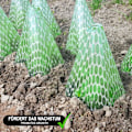 Miniatyrbild 3 av 5: 10 st Plant Solhatt - Skyddande Klocka för Växter som Växthjälpmedel - 10 stycken