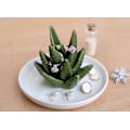 Miniatyrbild 2 av 5: Kaktusringhållare Aloe Smyckesställ Prydnadsbricka Present till kvinnor, Födelsedagspresenter till henne, Julinflyttningspresenter