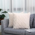 Miniatyrbillede 1 af 5: Pakke med 2 bløde plys beige pudebetræk 45x45cm firkantede pudebetræk med kort fluffy kunstig uld pudebetræk til sofa soveværelse stue