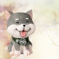 Miniatyrbild 2 av 5: Shiba Inu spargris myntform tecknad mynt spargris födelsedag julklapp heminredning