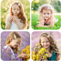 Miniatyrbilde 5 av 5: 16 Stykker Jenter Småbarn Blomstermønster Hårspenner Stoff Sklisikkert Stoffbelagt Metall Snap Hårnåler Blomster for Barn Baby Tenåringsjenter