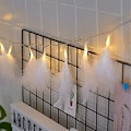 Miniatyrbillede 2 af 5: Fjerlampe med kunstige fjer, varm hvid fe lampe, indendørs og udendørs vægdekoration, 3M 20 LED (hvid)