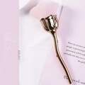 Miniatyrbilde 2 av 5: Neglekunst støvbørste Blush pudderbørster, negler tilbehør utstyr
