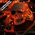 Miniatyrbillede 2 af 5: Efterårsdekorationslys, 12/8-pak 2m 20 LED efterårsfe-lys Halloween indendørs blinkende stjernelys batteri mikro sølvtråd ildflue-lys Orange