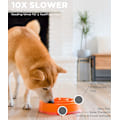 Miniatyrbilde 3 av 5: Morsom fôringskål, sakte fôringskål for hund, medium/mini, oransje