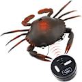 Miniatyrbild 1 av 4: Fjärrstyrd krabba leksak bil elektronisk falsk insekt barn födelsedagspresent jul halloween(grå)