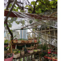 Miniatyrbilde 4 av 5: Industrielle presenninger Klare presenninger med øyemottak, tykkere vanntett plast klare presenninger, slitesterk PVC pergola terrasse takpaneldeksel, 2,4 * 2m