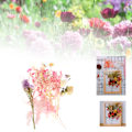 Miniatyrbild 1 av 8: Torkade blommor färgglad doftande blombukett gör material hantverk tillbehör