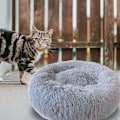 Miniatyrbild 3 av 5: Mjuk hundsäng för husdjur, djup sömn, kattsäng