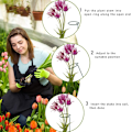 Miniatyrbild 7 av 8: 6-pack växtstöd för blommor, metallstöd för enstaka stjälkar, trädgårdsstöd för amaryllis, orkidé, lilja, ros, tomater, mörkgröna