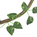 Miniatyrbild 1 av 6: Jungle Habitat Flexibel Simulerad Rotting Växtförstövare Enhet Set för Reptil Terrarium(typ3)