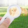 Miniatyrbild 4 av 9: 10X Mini Bärbar Handhållen Förstoringsglas Lupp med LED-ljus
