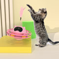 Miniatyrbild 8 av 8: Katt skivspelare leksak 360 graders rotation lindra tristess intressant interaktiv katt leksak med fjäder för katt tillbehör rosa