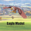 Miniatyrbild 7 av 8: Hög simulering örnmodell prydnader skrivbordsdekoration barn pedagogisk leksak brun