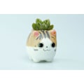 Miniatyrbild 6 av 9: Original Design Handgjorda Mini Söta Tecknade Keramik Succulent Krukor Planteringskärl Katt, med Dräneringshål, Blomkruka, Keramiska Prydnader Kattgåvor för Katt