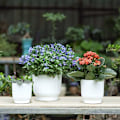 Miniatyrbild 3 av 5: Moderna Plastblomkrukor, Självbevattning Säkerställer Hälsosam Rottillväxt För Små Växter, Transparent Bas För Enkel Vattenövervakning, Andningsbar