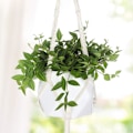 Miniatyrbild 6 av 8: 3-pack Macrame-växtupphängning och 3 st krokar inomhus utomhus hängande växtkorg hängande planteringsställ blomkrukor för dekorationer $Macrame-växt