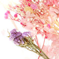 Miniatyrbild 4 av 8: Torkade blommor färgglad doftande blombukett gör material hantverk tillbehör