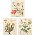 Miniatyrbild 1 av 7: 3 st blommor gobeläng väggbonad - vilda blommor växt blommor gobeläng identifiering referens diagram liten gobeläng för sovrum vardagsrum (gobeläng