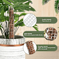 Miniatyrbild 6 av 8: Stapelbar Mossestav i Mesh för Inomhusväxter Monstera Klätterväxter Plaststöd Kit
