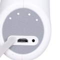 Miniatyrbild 5 av 8: Elektrisk växtförstoftningsflaska 3.7V Vattentät Enkel kontroll Batteriindikator USB-laddning Justerbar volym Växtförstövare 1L