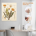 Miniatyrbild 7 av 7: 3 st blommor gobeläng väggbonad - vilda blommor växt blommor gobeläng identifiering referens diagram liten gobeläng för sovrum vardagsrum (gobeläng