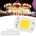 Miniatyrbild 7 av 8: 2 st LED COB-chip med hög effekt, drivrutinfri integrerad SMD-lampkula, ljusstark och effektiv vändbar COB-lampkula, varmt ljus, 30 W