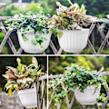 Miniatyrbild 5 av 5: Väggmonterad blomkruka i plast, 4-pack, vit