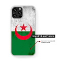Miniatyrbild 2 av 6: Siliconförstärkt tryckt hölje kompatibelt med Samsung Galaxy S23 Plus Algeriets flagga Transparent