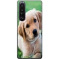 Kompatibelt Mobildeksel til Sony Xperia 1 III Hund